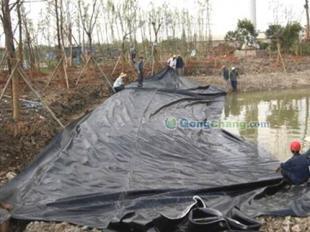 供應(yīng)供應(yīng)【隴南】膨潤(rùn)土防水毯 垃圾填埋場(chǎng)專用_化工_世界工廠網(wǎng)中國(guó)產(chǎn)品信息庫